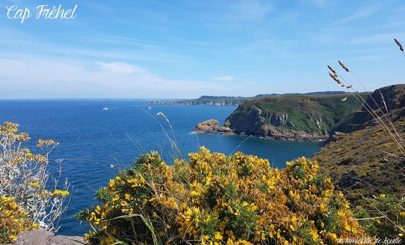 Cap-Fréhel-bretagne