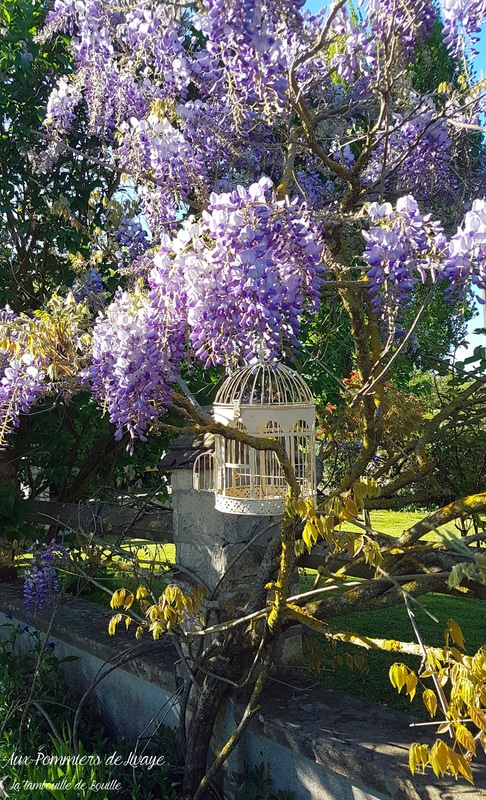 lila-chambre-hote-normandie
