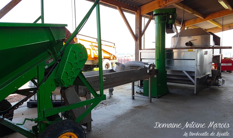 fabrication-cidre-domaine-Antoine-Marois-Cambremer