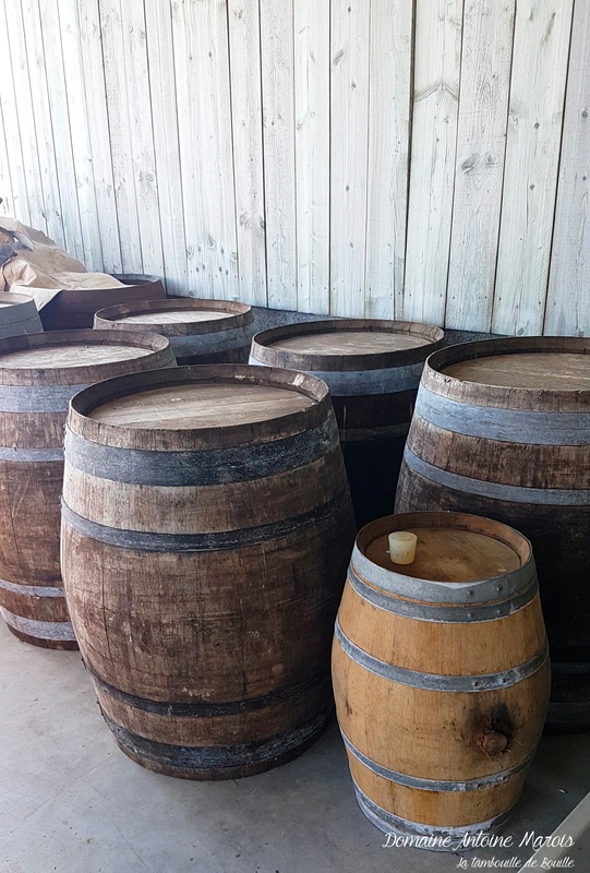 domaine-cidre-Antoine-Marois-Cambremer