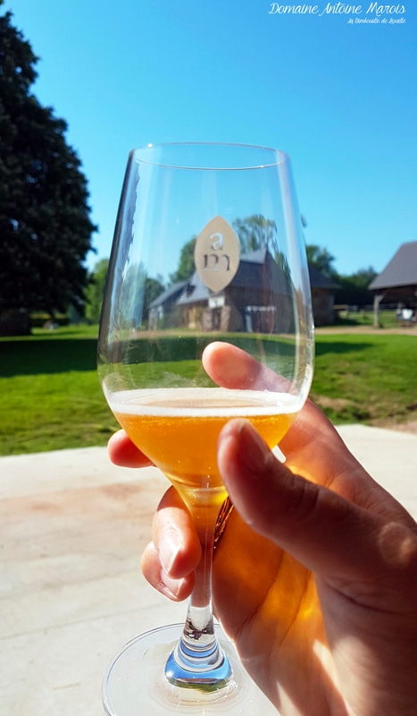 visite-domaine-Antoine-Marois-Cambremer