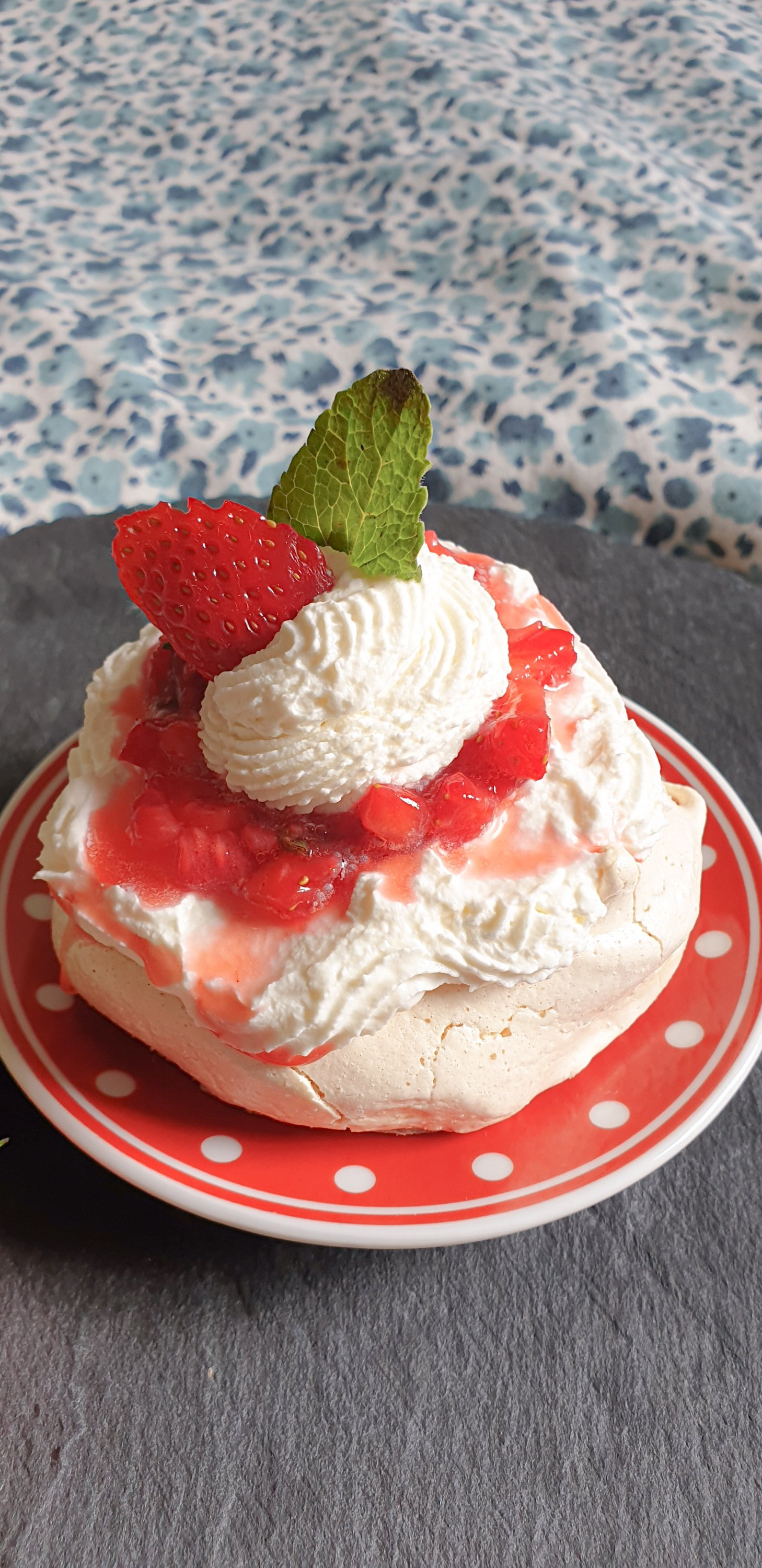 Pavlova soplica